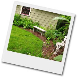 garden photo